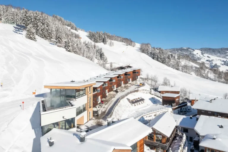 overview van Chalet Bachgut 1 hinterglemm