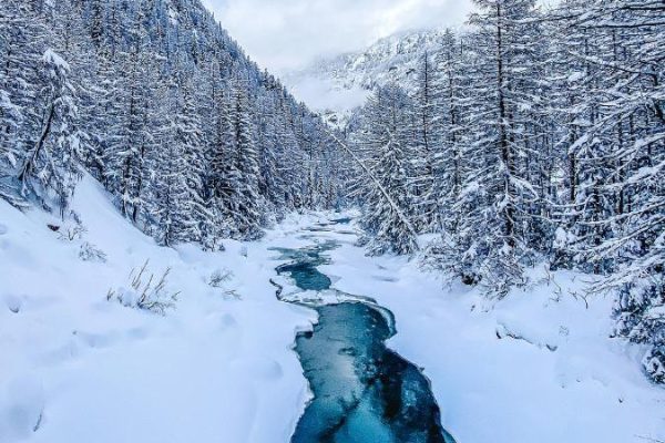 Natuur omgevinde dicht bij Chalet Alpenheim Simone